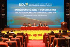 Các cổ đông tham dự Đại hội đồng cổ đông BIDV. (Ảnh: Vietnam+)