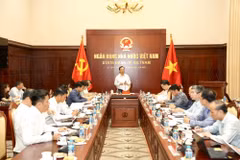 Phó Thống đốc Thường trực Ngân hàng Nhà nước Đào Minh Tú phát biểu tại buổi làm việc. (Ảnh: Vietnam+)