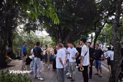 Du lịch tiếp tục là một động lực quan trọng của phát triển kinh tế Việt Nam, góp phần tạo việc làm, hỗ trợ hoạt động kinh doanh và thu hút đầu tư trên cả nước. (Ảnh: Vietnam+)