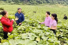 Cán bộ tín dụng của Ngân hàng Chính sách xã hội tỉnh Phú Thọ hướng dẫn người dân sử dụng vốn vay đầu tư đúng mục đích, hiệu quả. (Ảnh: Vietnam+)