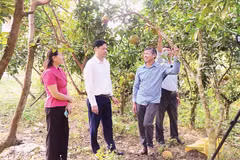 Mô hình vay vốn sản xuất giỏi ở xã Ba Bể, tỉnh Thái Nguyên. (Ảnh: Vietnam+)
