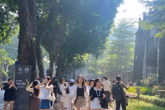 Dù các sạp, xe hoa tự phát đã được chấn chỉnh, đường Phan Đình Phùng vẫn thu hút lượng lớn người trẻ tới lưu lại khoảnh khắc thu Hà Nội. (Ảnh: Thanh Nga/Vietnam+)