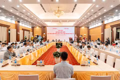 Quang cảnh tại hội thảo. (Ảnh: Vietnam+)