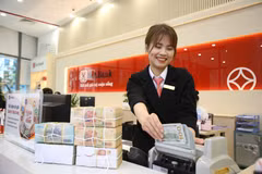 Ngân hàng SeABank gây ấn tượng mạnh khi lợi nhuận trước thuế tăng vọt 2.884 tỷ đồng. (Ảnh: Vietnam+)