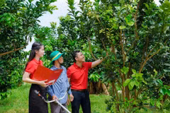 Phát triển kinh tế tư nhân là chủ trương lớn mang tính đột phá của Đảng và Nhà nước trong định hướng dài hạn về phát triển kinh tế đất nước. (Ảnh: Vietnam+)