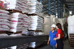 Agribank tiếp lực doanh nghiệp bứt phá tăng trưởng năm 2026. (Ảnh: Vietnam+)