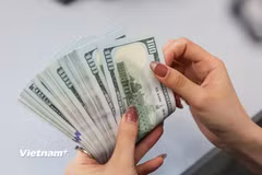 Tỷ giá trung tâm tăng lên cao nhất, tỷ giá tại ngân hàng cũng điều chỉnh mạnh. (Ảnh: Vietnam+)