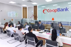 Thủ tướng Chính phủ giao bổ sung dự toán ngân sách Nhà nước năm 2026 cho Ngân hàng Nhà nước để đầu tư bổ sung 5.000 tỷ đồng vốn điều lệ cho Co-opBank. (Ảnh: Co-opBank)