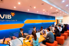 Lợi nhuận 6 tháng của VIB đạt 5.000 tỷ đồng, tăng trưởng tín dụng 10%. (Ảnh: Vietnam+)
