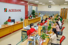 Agribank dành 60.000 tỷ đồng cho doanh nghiệp vay ưu đãi đầu tư hạ tầng, công nghệ số. (Ảnh: Vietnam+)
