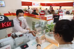 Ngân hàng Nhà nước ban hành quy định mới về kiểm đếm, tiêu hủy tiền. (Ảnh: Vietnam+)