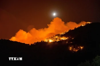 Hình ảnh cháy rừng ở Thổ Nhĩ Kỳ. (Ảnh: THX/TTXVN)