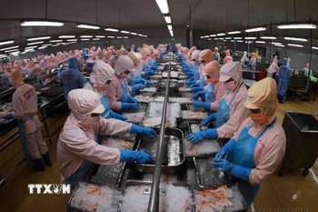 Triển vọng thương mại thủy sản Việt Nam-Singapore tiếp tục được khẳng định. (Ảnh: Vũ Sinh/TTXVN)