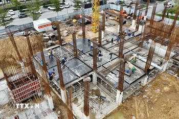 Ảnh minh họa. (Ảnh: Hữu Quyết/TTXVN)