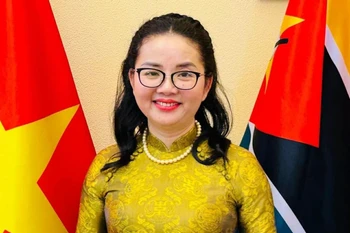 Đại sứ Trần Thị Thu Thìn. (Ảnh: Đại sứ quán Việt Nam tại Mozambique)