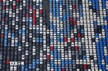 Nhật Bản đã nhập khẩu 111.513 xe do các nhà sản xuất ôtô Nhật Bản sản xuất từ nước ngoài vào năm 2025. (Ảnh: Kyodo/TTXVN)