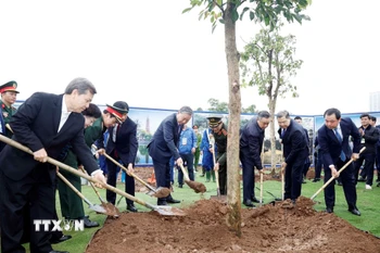 Tổng Bí thư Tô Lâm và các đại biểu tham gia trồng cây tại Lễ phát động “Tết trồng cây đời đời nhớ ơn Bác Hồ” Xuân Bính Ngọ 2026. (Ảnh: Thống Nhất/TTXVN)