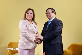 Thủ tướng Phạm Minh Chính gặp Tổng thống Peru Dina Ercilia Boluarte Zegarra. (Ảnh: Dương Giang/TTXVN)