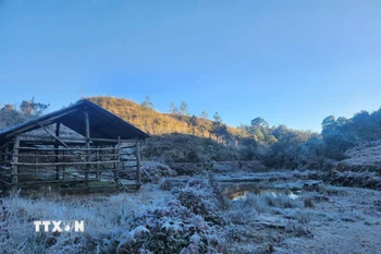 Vùng núi cao cần đề phòng xảy ra băng giá. (Ảnh: Hương Thu/TTXVN)