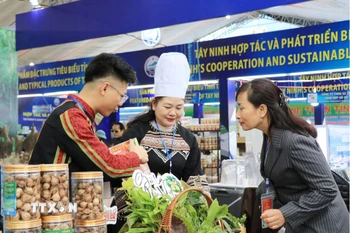 Người dân tham quan các gian hàng tại hội chợ. (Ảnh: Tuấn Anh/TTXVN)