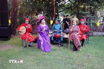 Biểu diễn Đờn ca Tài tử. (Ảnh: Mỹ Phương/TTXVN)