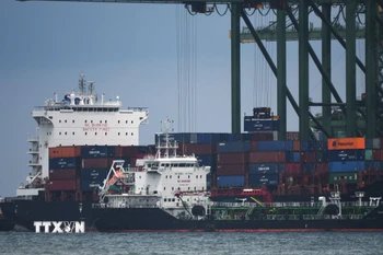 Cảng hàng hóa Pasir Panjang tại Singapore. (Ảnh: THX/TTXVN)