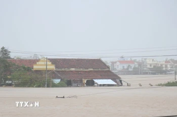 Đắk Lắk nhiều khu vực ngập sâu trong nước lũ. (Ảnh: Tuấn Anh/TTXVN)