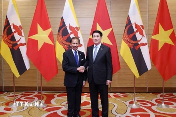 Chủ tịch nước Lương Cường đón Quốc vương Brunei Darussalam Haji Hassanal Bolkiah dự tiệc chiêu đãi. (Ảnh: Lâm Khánh/TTXVN)