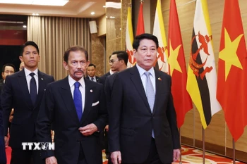 Chủ tịch nước Lương Cường đón Quốc vương Brunei Darussalam Haji Hassanal Bolkiah dự tiệc chiêu đãi. (Ảnh: Lâm Khánh/TTXVN)