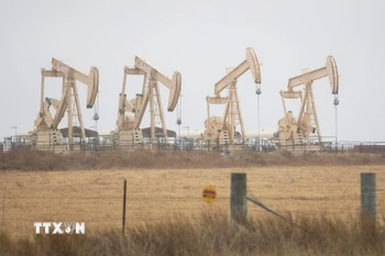 Giàn khoan dầu tại Texas, Mỹ. (Ảnh: THX/TTXVN)