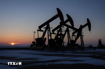 Giếng dầu ở Bàn Cẩm, tỉnh Liêu Ninh, Trung Quốc. (Ảnh: THX/TTXVN)