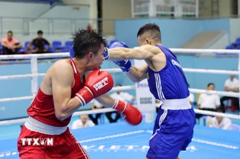 Boxing hứa hẹn giúp Việt Nam giành nhiều HCV. (Ảnh: Hoài Thu/TTXVN)