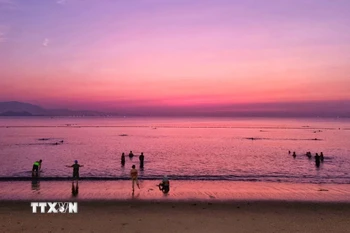 Vẻ đẹp lúc bình minh trên biển Bình Sơn (thành phố Phan Rang-Tháp Chàm, Ninh Thuận). (Ảnh: Nguyễn Thành/TTXVN)
