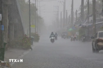  (Ảnh minh họa. Duy Khương/TTXVN)