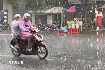 Ảnh minh họa. (Ảnh: Công Mạo/TTXVN)