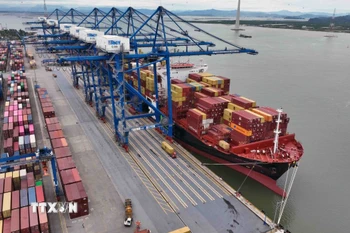 Bốc xếp hàng hóa xuất khẩu ở cảng Container Quốc tế Hải Phòng, thị trấn Cát Hải, huyện Cát Hải, thành phố Hải Phòng. (Ảnh: Vũ Sinh/TTXVN)
