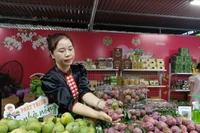 Hội chợ “Made in Vietnam” không chỉ là nơi trưng bày mà còn là không gian giao thương, trải nghiệm văn hóa ẩm thực và trình diễn sản phẩm đặc sắc.. (Ảnh: Đức Duy/Vietnam+)