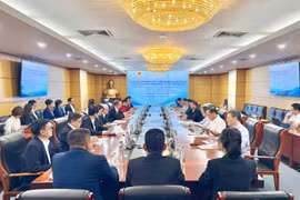Sự khởi động của VAFIP diễn ra trong bối cảnh Chính phủ đang tạo ra những đòn bẩy chính sách mạnh mẽ để thúc đẩy chuyển đổi xanh và phát triển bền vững cho toàn bộ nền kinh tế. (Ảnh: PV/Vietnam+)