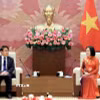 Phó Chủ tịch Quốc hội Nguyễn Thị Thanh tiếp Ngài Saito Hiroaki, Chủ nhiệm Ủy ban Giáo dục, Văn hóa, Thể thao, Khoa học và Công nghệ của Hạ viện Nhật Bản. (Ảnh: Tuấn Anh/TTXVN)
