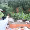 Lãnh đạo xã Nam An Phụ, thành phố Hải Phòng kiểm tra diễn biến các điểm sạt lở trên địa bàn ngày 24/8. (Ảnh: Mạnh Minh/TTXVN)