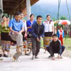 Trước khi bước vào trò chơi, mọi người tham gia phải chia đội, mỗi đội thường có từ 3 đến 5 người chơi rồi thỏa thuận hoặc bốc thăm để giành lượt chơi trước. (Ảnh: Xuân Tiến/TTXVN)