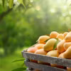 (Ảnh: iStock)