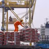 Bốc xếp hàng hóa tại Cảng Tiên Sa, Đà Nẵng. (Ảnh: Trần Lê Lâm/TTXVN)