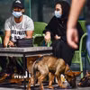 Ảnh minh họa. (Nguồn: AFP/ TTXVN)