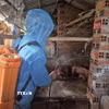 Phun tiêu độc khử trùng các chuồng trại chăn nuôi ngăn ngừa dịch tả lợn châu Phi. (Ảnh: TTXVN phát)