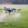 Nông dân An Giang sử dụng drone phân xịt thuốc giúp tiết kiệm chi phí, công sức và thời gian. (Ảnh: Công Mạo/TTXVN)