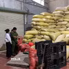 Lực lượng chức năng kiểm tra kho hàng Công ty TNHH 2 thành viên Nông sản Biên Ly. (Ảnh: TTXVN phát)