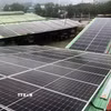 Hệ thống pin điện mặt trời được lắp đặt trên mái nhà xưởng ở Khu công nghiệp Phú Tài, Gia Lai. (Ảnh minh họa: Nguyên Linh/TTXVN)