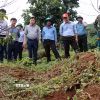 Lãnh đạo tỉnh Lâm Đồng kiểm tra thực tế khu vực sụt lún tại thôn Đắk Snao, xã Quảng Sơn. (Ảnh: Nguyễn Huy Thành/TTXVN)
