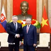 Tổng Bí thư, Chủ tịch nước Tô Lâm tiếp Thủ tướng Slovakia Robert Fico. (Ảnh: Thống Nhất/TTXVN)